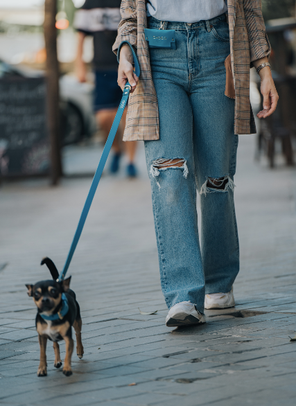 Porta bolsas Thálassa - Soft Line