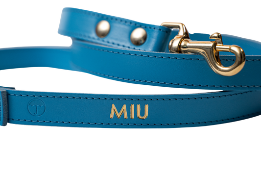 Correa para perro Thálassa - Soft Line