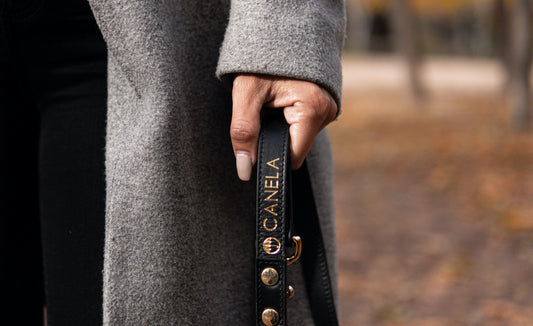 Correa para perro Blacksand - Dope Line